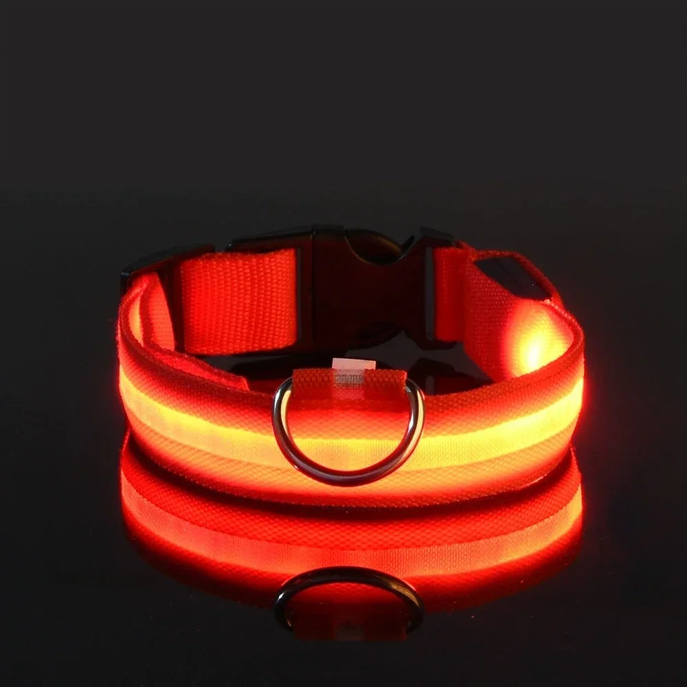 Night Safety LED Dog Collar – Flashing & Glowing