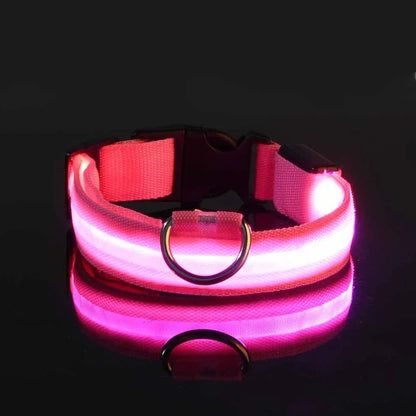 Night Safety LED Dog Collar – Flashing & Glowing