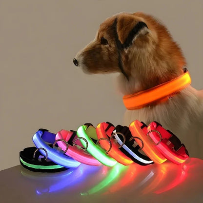 Night Safety LED Dog Collar – Flashing & Glowing