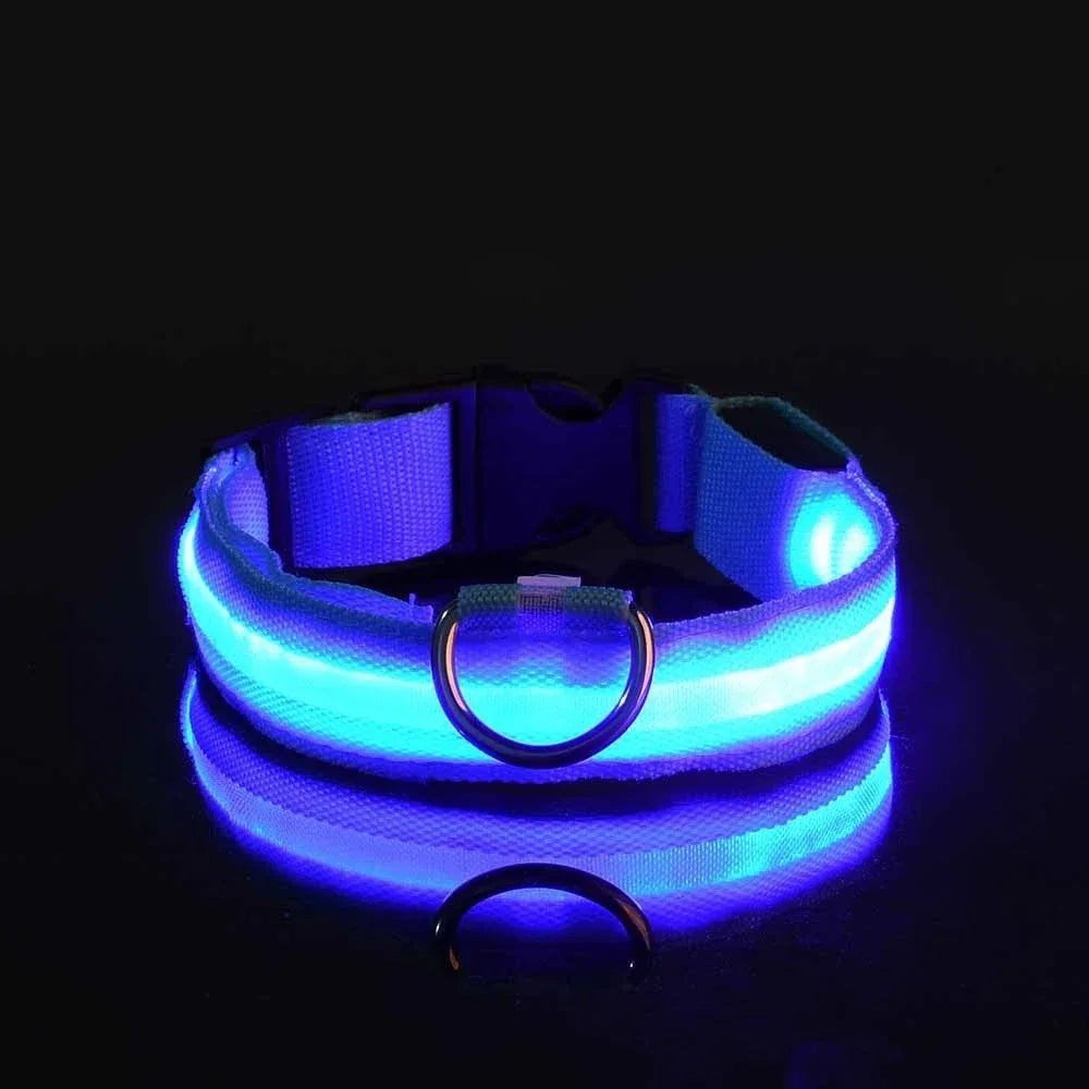 Night Safety LED Dog Collar – Flashing & Glowing