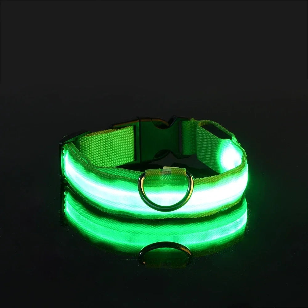 Night Safety LED Dog Collar – Flashing & Glowing