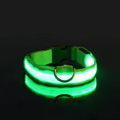 Night Safety LED Dog Collar – Flashing & Glowing