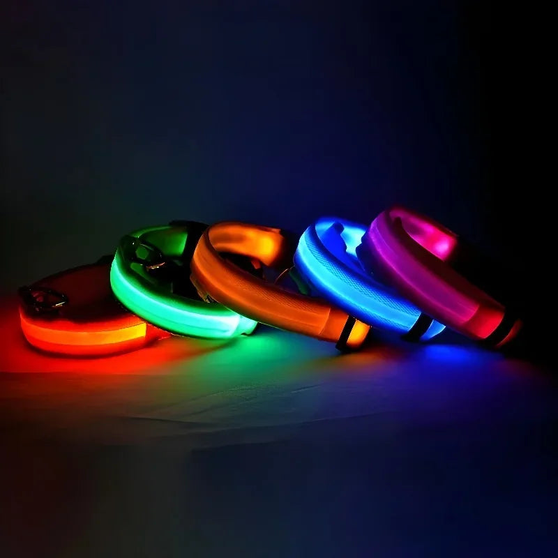 Night Safety LED Dog Collar – Flashing & Glowing