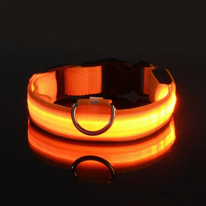 Night Safety LED Dog Collar – Flashing & Glowing