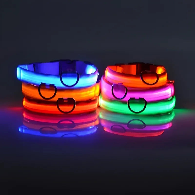 Night Safety LED Dog Collar – Flashing & Glowing