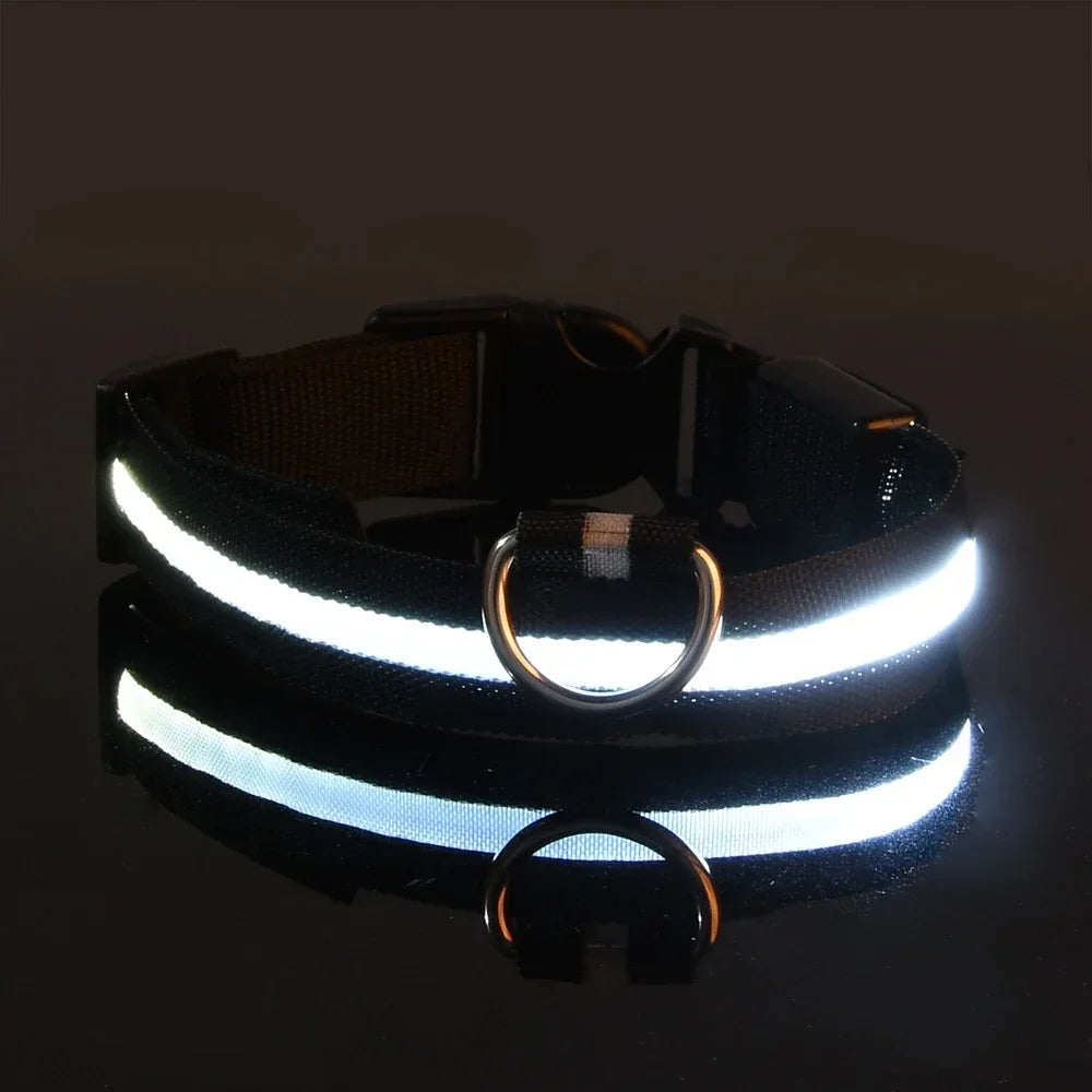 Night Safety LED Dog Collar – Flashing & Glowing