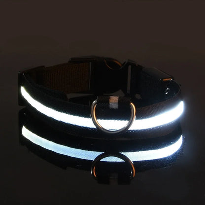 Night Safety LED Dog Collar – Flashing & Glowing