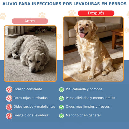 Carmelie - Evitale infecciones a tu Mascota