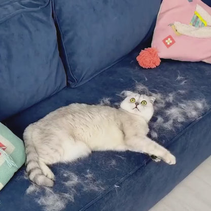 Steamy Magic Cat Brush 🐾✨